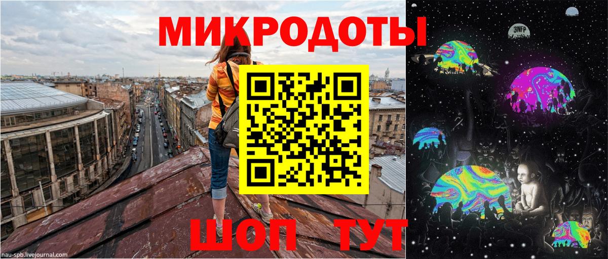 Псилоцибиновые грибы Psilocybe Острогожск
