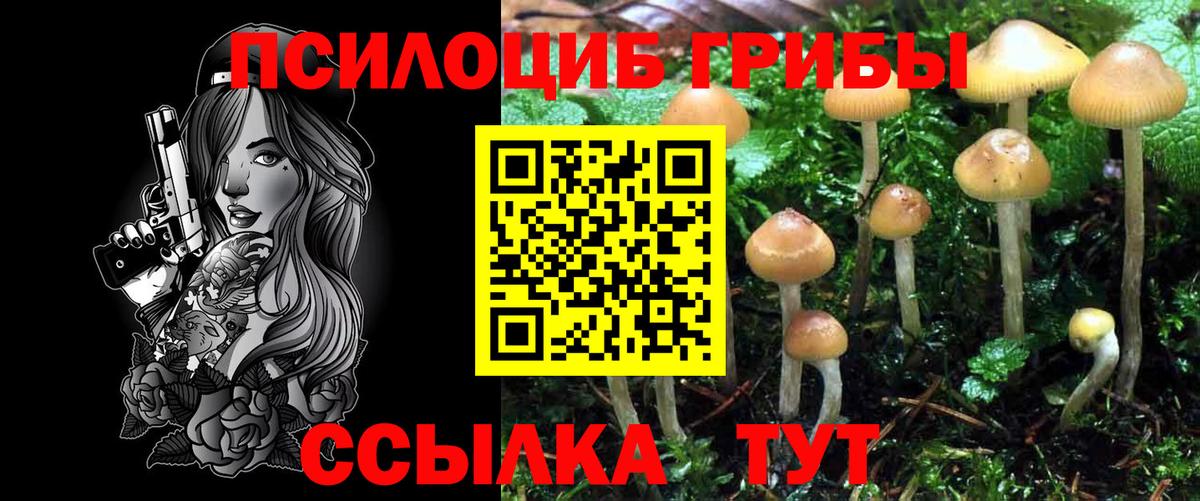 Галлюциногенные грибы Psilocybine cubensis  Вход с VPN  Острогожск 